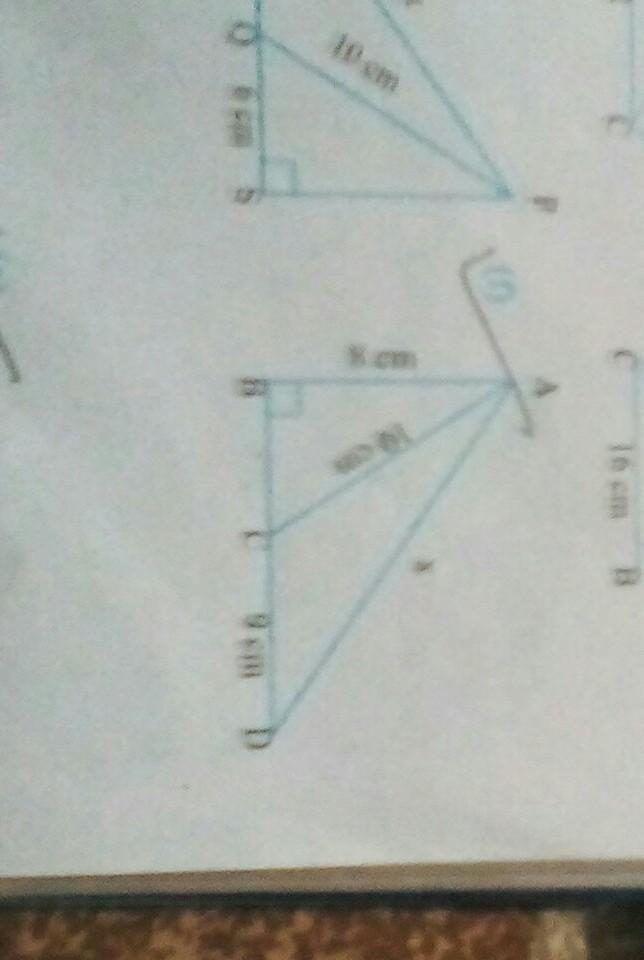 Find value of x question number F give step by step solution plz take photo or write-example-1