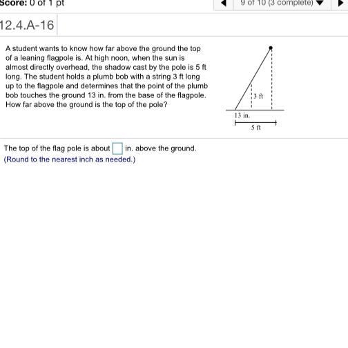 What is the top of the flag pole above ground in inches?-example-1