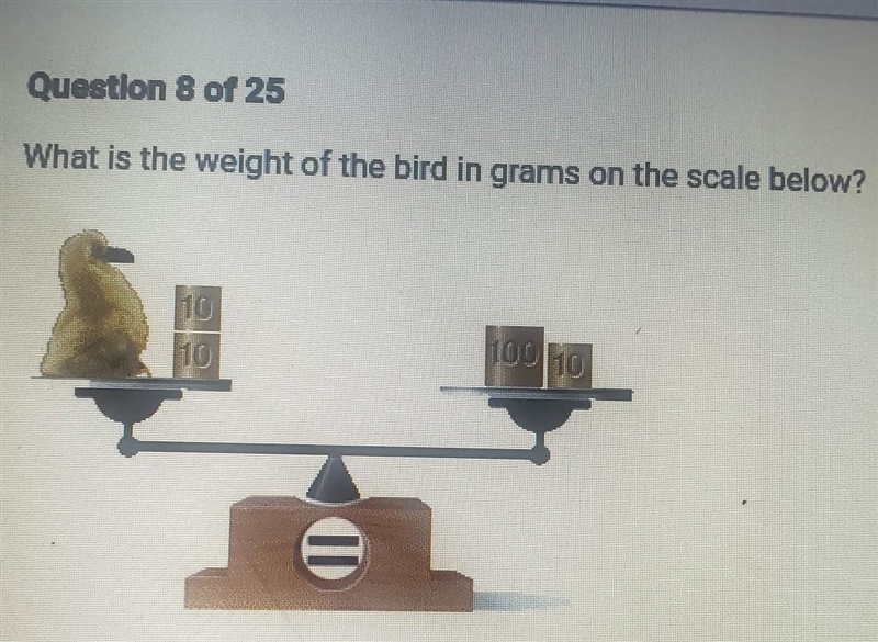 What is the weight of the bird in grams on the scale below? ​-example-1