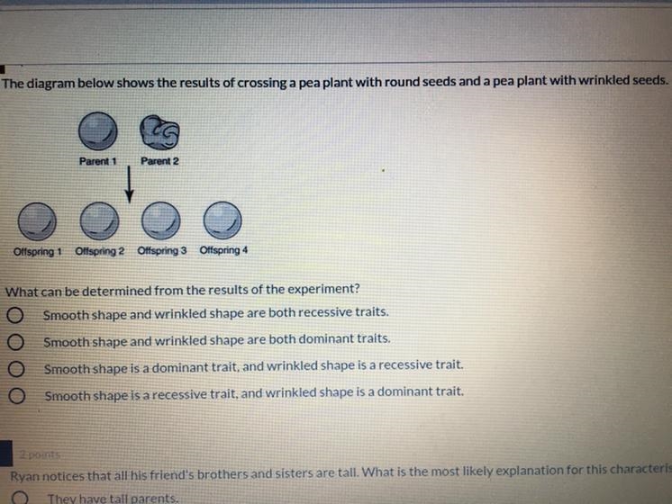 Can someone pls help me this it’s due in an hour but I can’t figure it out-example-1