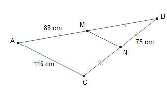 What is the length of Line segment M N? 58cm 75cm 88cm 116cm-example-1