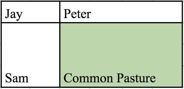 Farmers Jay, Peter, and Sam own rectangular farms, as indicated in the figure. Jay-example-1