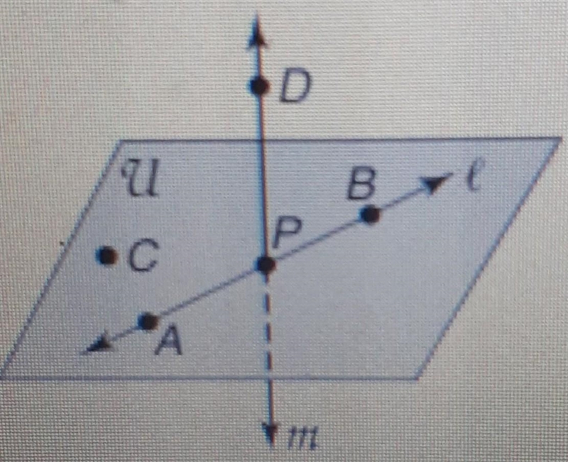 2. Refer to the figure at the right. Indicate whether each statement is true or false-example-1