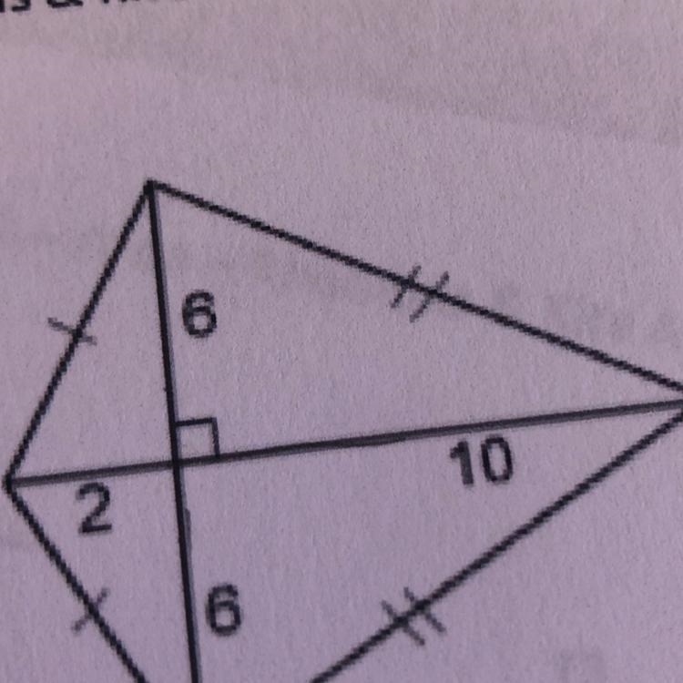 Find the area of the kite-example-1