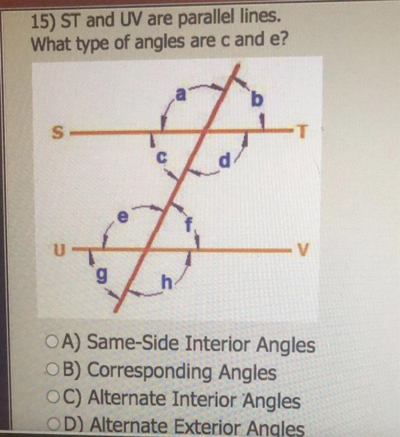 Please help!! Thank you-example-1