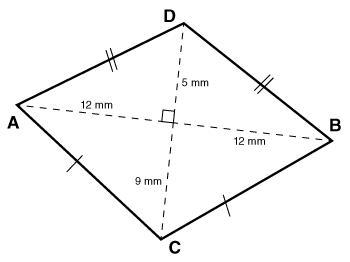 Find the area of the kite below. POSSIBLE ANSWERS: 168 mm 2 or 216 mm 2 or 195 mm-example-1