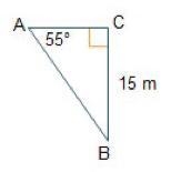 What is the length of Line segment A C? Round to the nearest tenth.-example-1