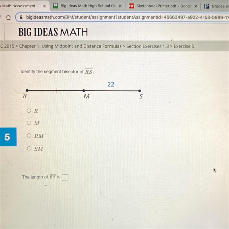 Identify the segment bisector of RS. 22 R. M S OR Ο Μ ORM OSM The length of RS is-example-1