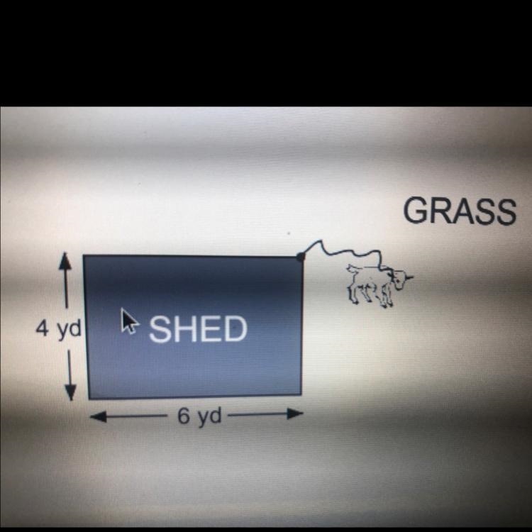 A goat is tied to the corner of a rectangular shed in a large field full of grass-example-1