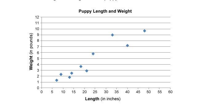 3. Maria is a veterinarian. She wants to know how the weight of a puppy is related-example-1