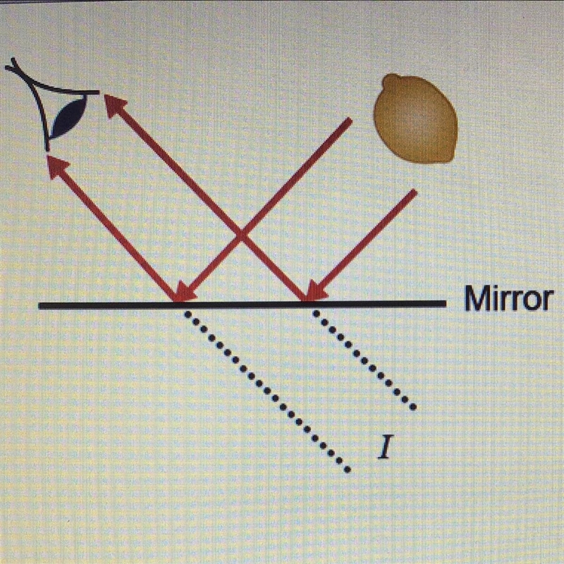 The image of the lemon is at point I. What is the size of the image compared to the-example-1