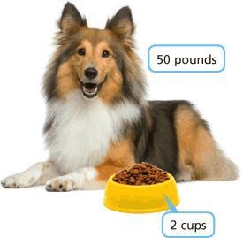 I NEED HELP!! The amount of food a dog should eat daily is based on its weight. The-example-1