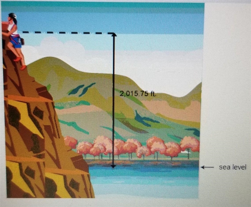 in this image, what is Janelle's position relative to sea level while hiking? what-example-1