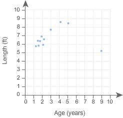 Which statement is true? A. This scatter plot has no clusters and no outliers. B. This-example-1