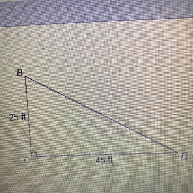 What is the measure of angle D? Enter your answer as a decimal, round only your final-example-1