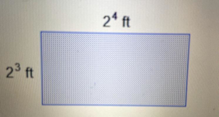 One side 2^4 ft another side is 2^3ft What is the area of the flower bed? 48 square-example-1