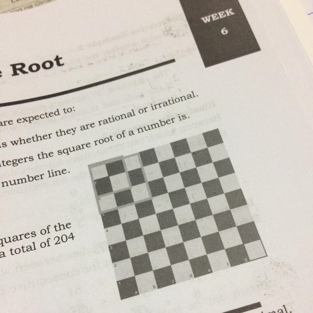 After going through this module, you are expected to: 1. Describe principal roots-example-1