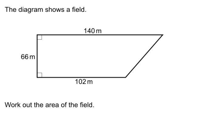 Wrk out the area of the field-example-1