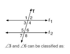 ∠3 and ∠6 can be classified as:-example-1