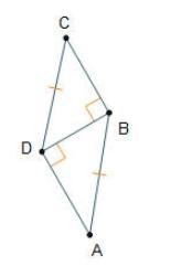 Which congruence theorem can be used to prove △BDA ≅ △DBC? Triangles B D A and D B-example-1