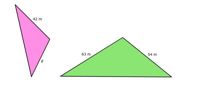 If these two shapes are similar, what is the measure of the missing length g?-example-1