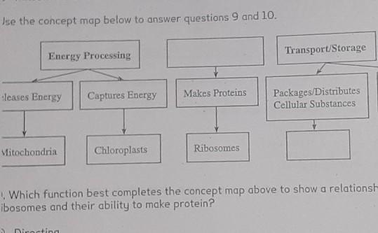 Fill in the two blank boxes!!! help plzzz sorry this is not math lol its science-example-1