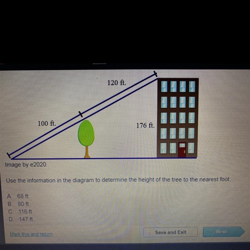 Determine the height of the tree to the nearest foot-example-1