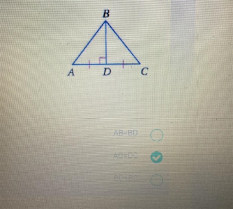 Wich one is SAS Please helpppp-example-1