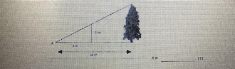 A person with a height of 2 meters stand near a tree. The tree casts a shadow that-example-1