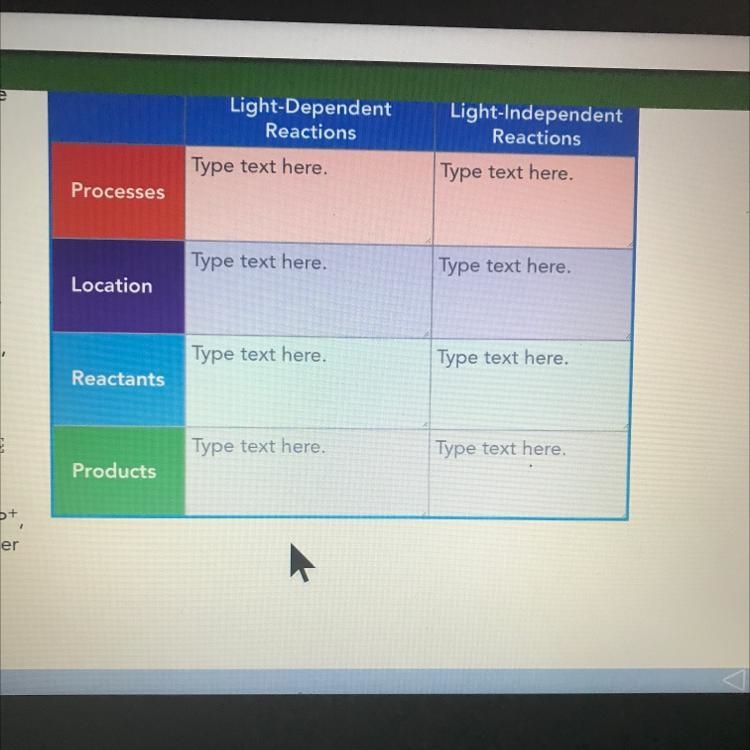 Place the terms into the correct column that describes the reactions of photosynthesis-example-1