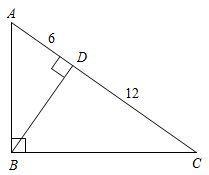 PLEASE HELPP … Find the measure of BD .-example-1