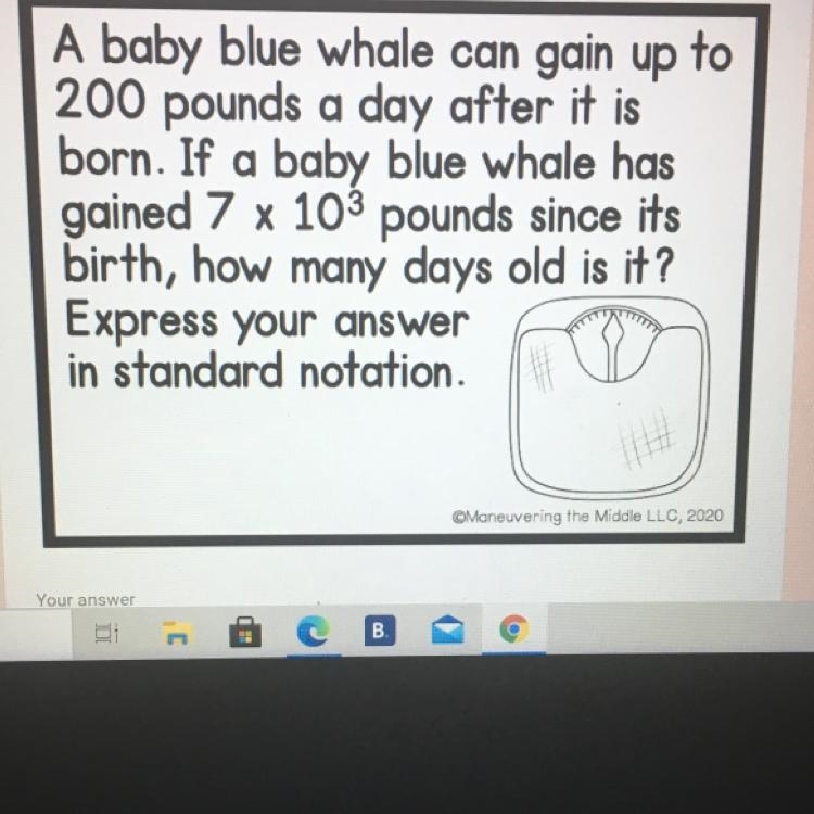 A baby blue whale can gain up to 200 pounds a day after it is born. If a baby blue-example-1