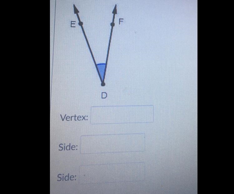 ‼️Name the vertex and sides of the angle below-example-1