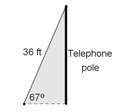 The telephone pole is _____ feet tall. (Round to the nearest whole number) 14 ft 42 ft-example-1