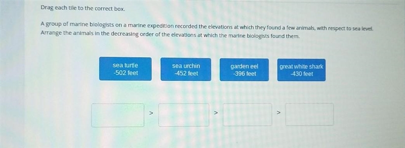 Drag each tile to the correct box. A group of marine biologists on a marine expedition-example-1