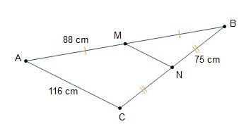 What is the length of Line segment M N? 58 cm 75 cm 88 cm 116 cm-example-1