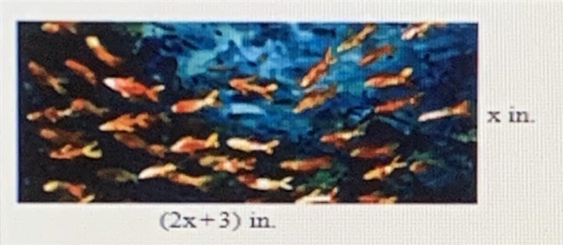 Please help! The painting shown at the right has an area of 240 . What is the value-example-1