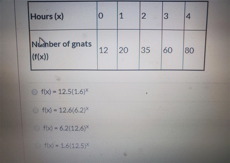 What is the exponential function that best models the number of gnats the scientists-example-1