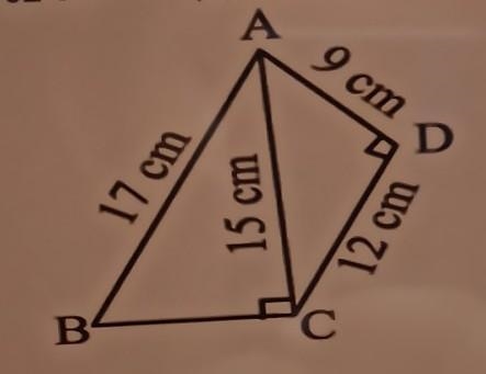 The area of quadrilateral ABCD in the below figure is (a) 57 cm (b) 95 cm2 (c) 102 cm-example-1