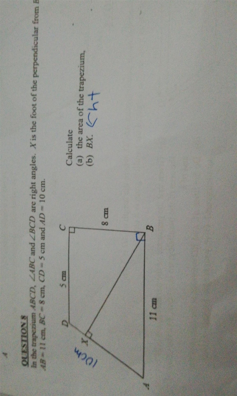 I need help with B please​-example-1