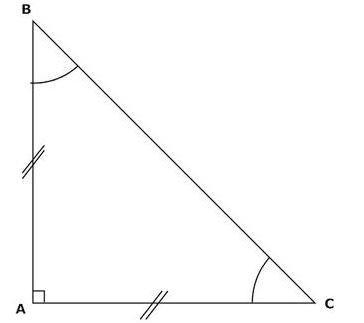 PLEASE HELP I AM BEING TIMED! In the Diagram Angles B and C are_____? Options: Right-example-1