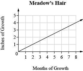 Meadow is growing her hair out. The graph below shows how much her hair has grown-example-1