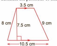 Calculate the perimeter of this trapezoid-example-1