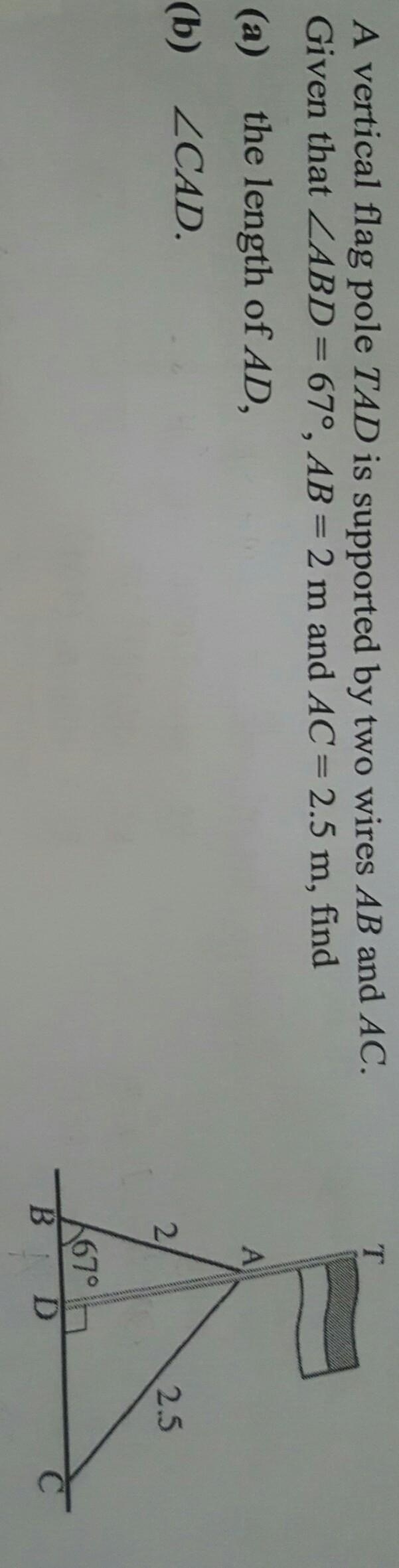 a vertical flag pole TAD is supported by two wires AB and AC, given that angle ABD-example-1