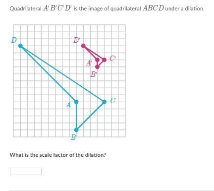 I NEED HELP ASAP PLEASE!-example-1