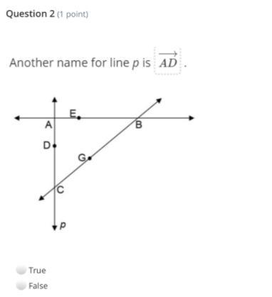 HELP TRUE OR FALSE 25 POINTS!!-example-1