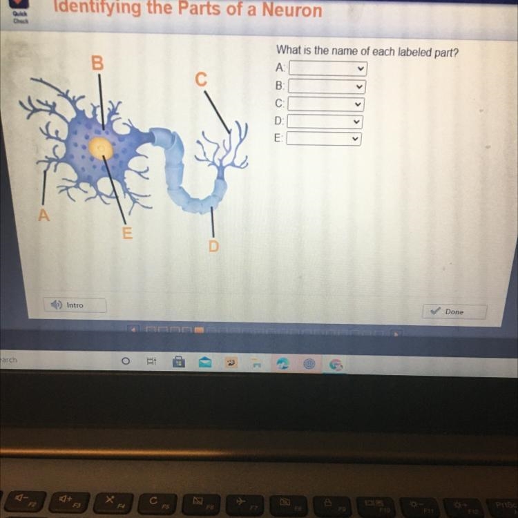 What is the name of each labeled part? B С B C E A E D-example-1