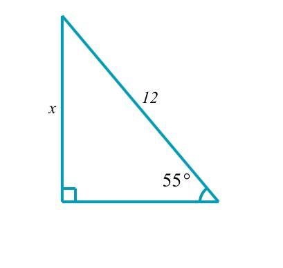 Solve for x in the triangle. Round your answer to the nearest tenth.-example-1