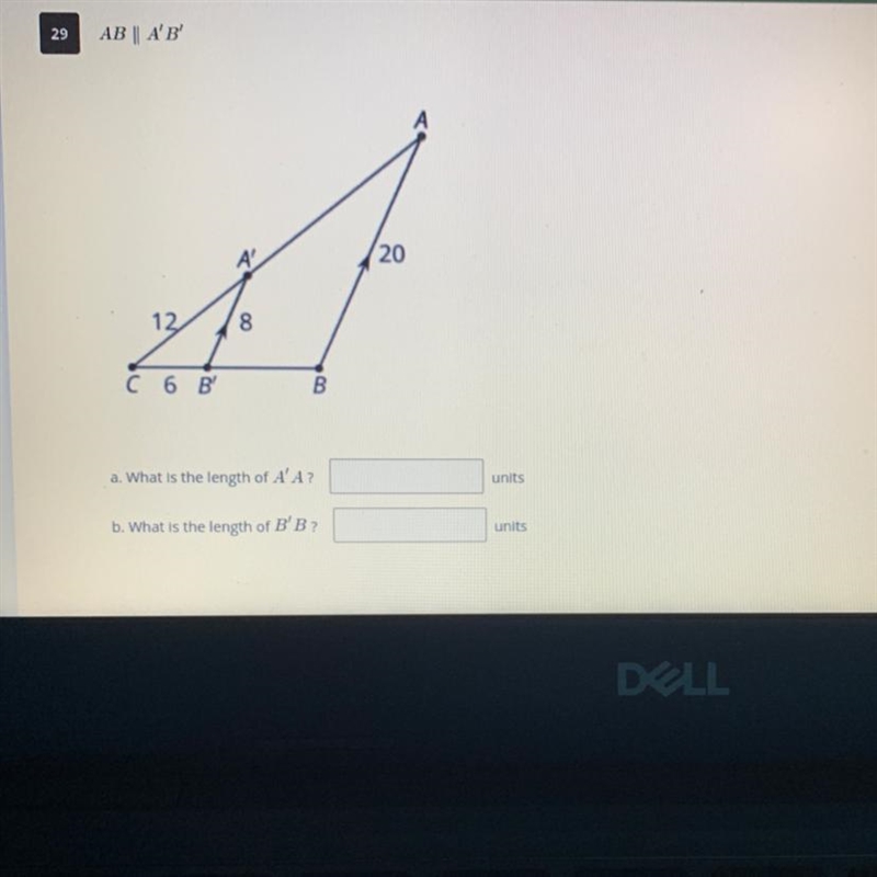 A.What is the length of A’A? b.What is the length of B’B Both in units-example-1