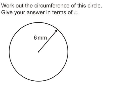 Work out the circumference of a circle-example-1